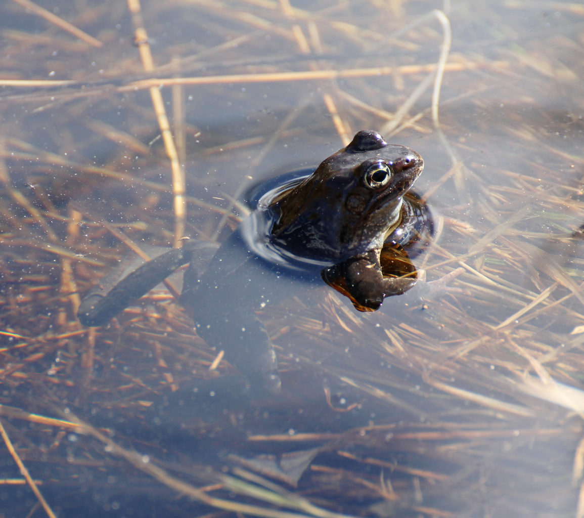 Valokuvaaja: Katri Mäkinen