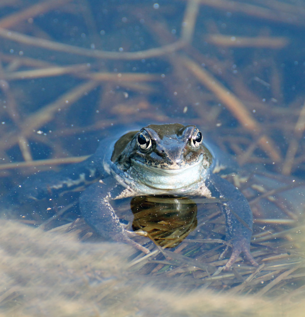 Valokuvaaja: Katri Mäkinen