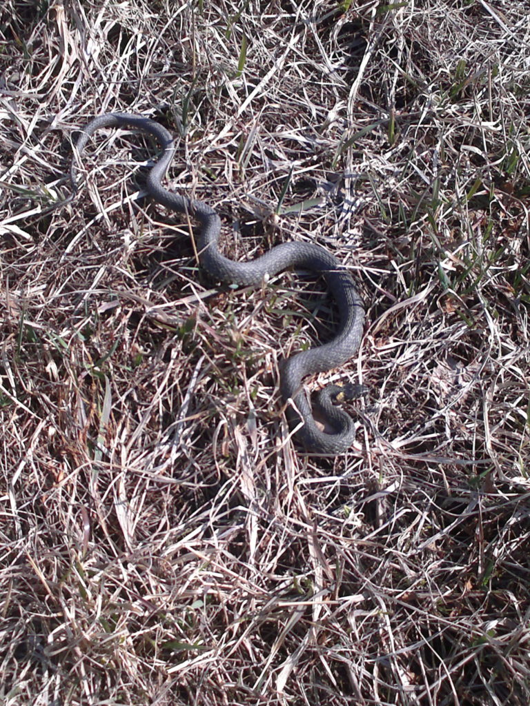 Valokuvaaja: Sami Rissanen