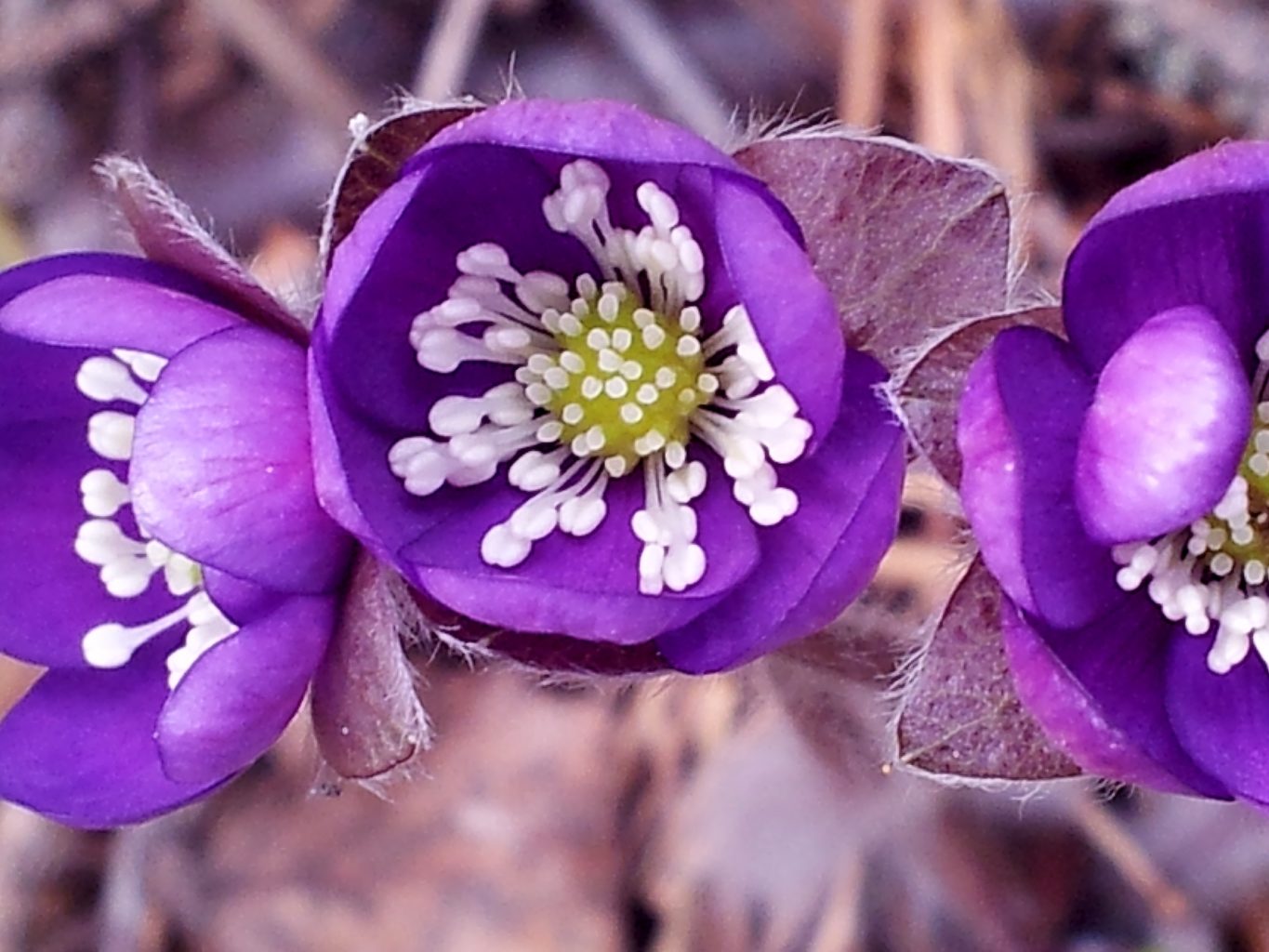 Valokuvaaja: Tuulikki Piikkilä