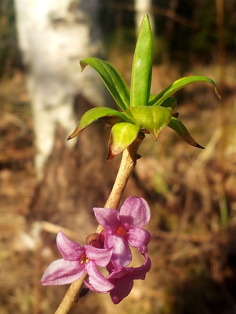 Valokuvaaja: Tuulikki Piikkilä