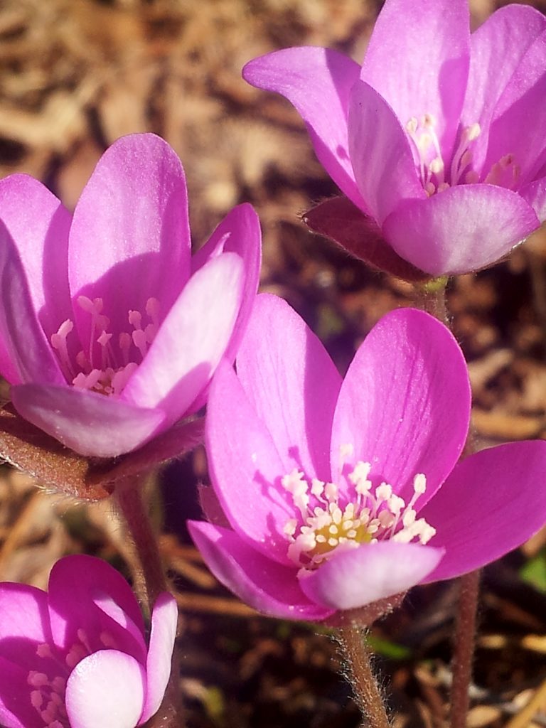 Valokuvaaja: Tuulikki Piikkilä