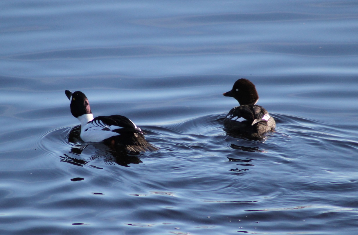 Valokuvaaja: Juha Toikkanen