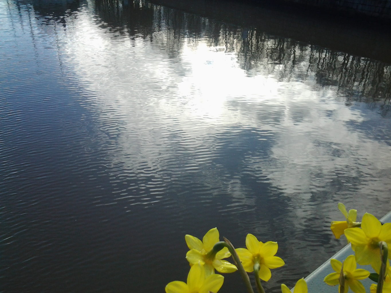 Valokuvaaja: Heli Saari-Uusimäki
