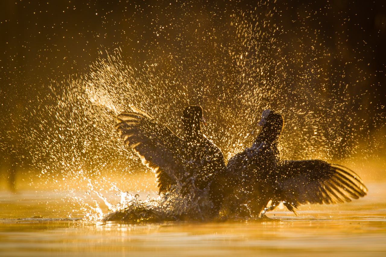 Valokuvaaja: Tuomas Heinonen