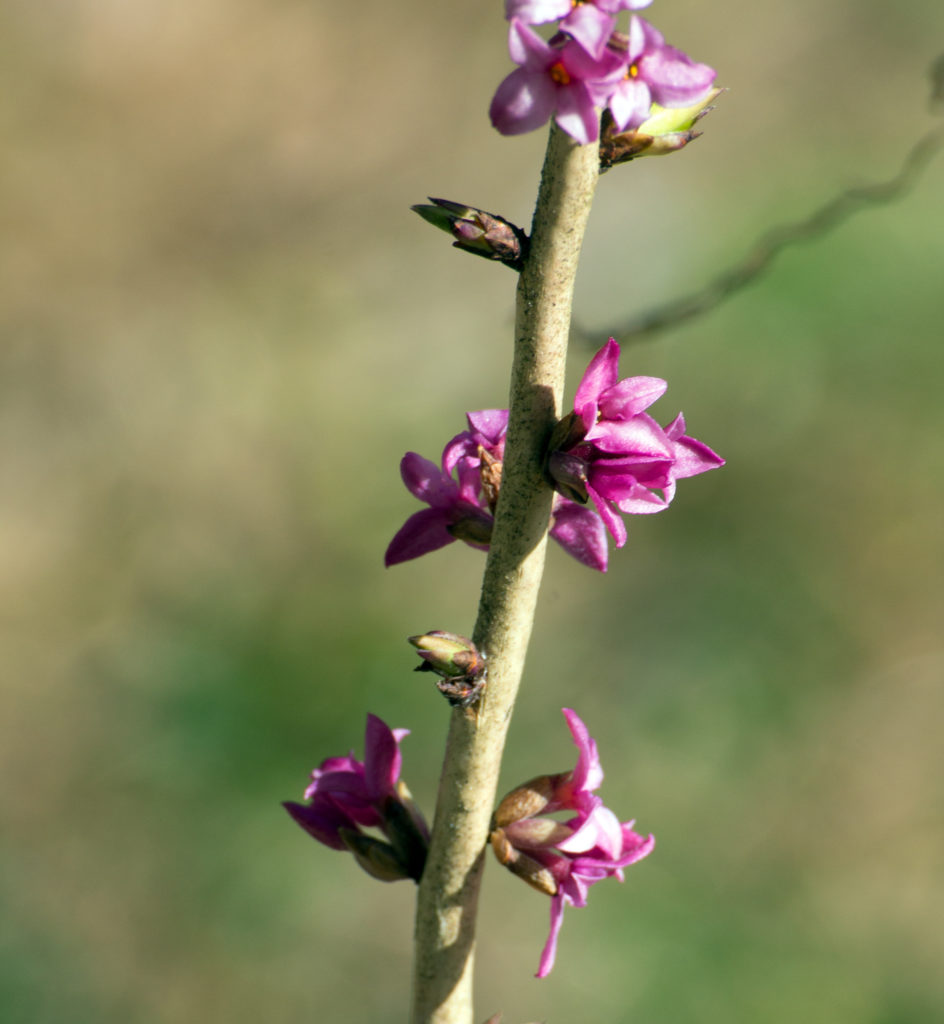 Valokuvaaja: Katri Mäkinen