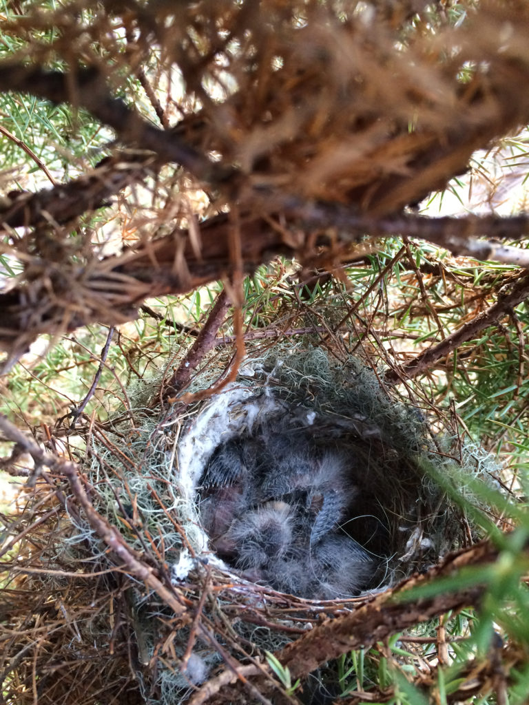 Valokuvaaja: Joni Sundström