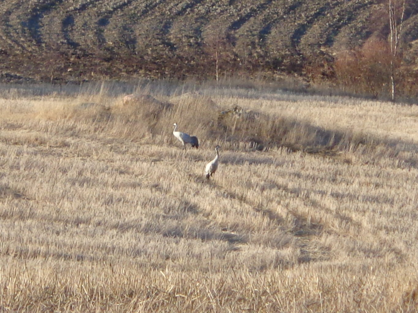 Valokuvaaja: Heli Heiniö