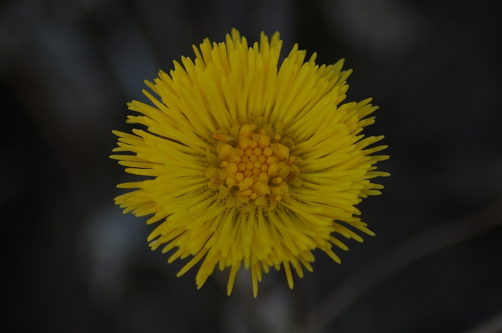 Valokuvaaja: Maarit Siitonen