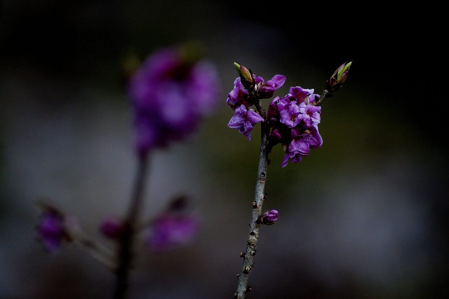Valokuvaaja: Maarit Siitonen