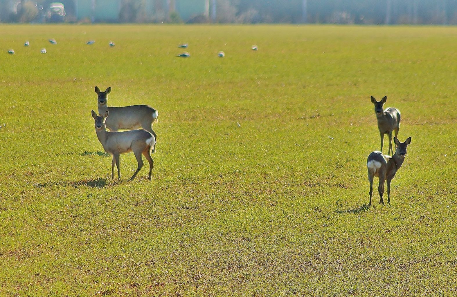 Valokuvaaja: Maarit Siitonen