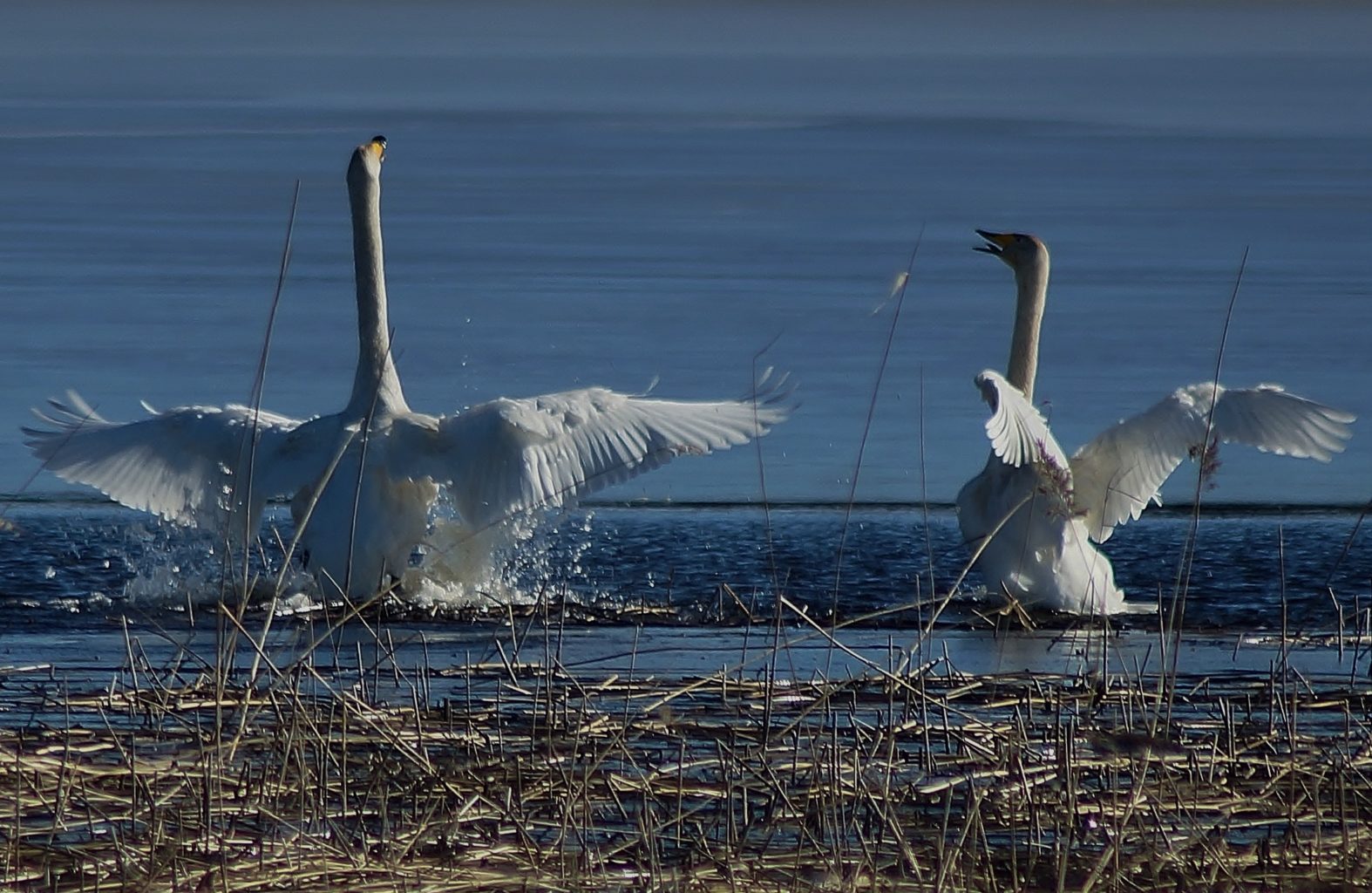 Valokuvaaja: Maarit Siitonen