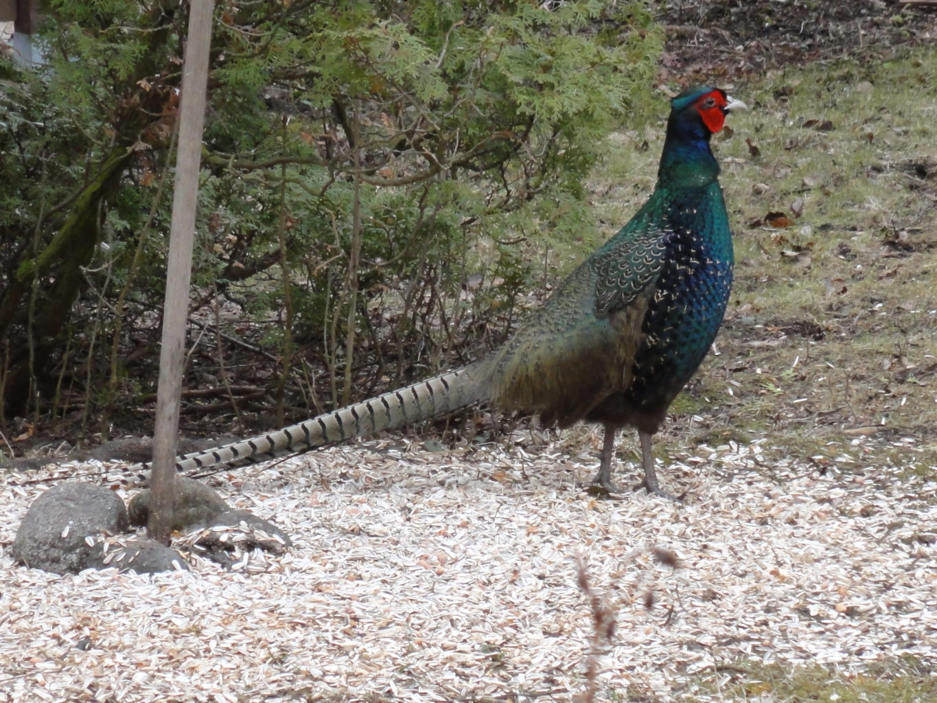 Valokuvaaja: Vuokko Virtanen