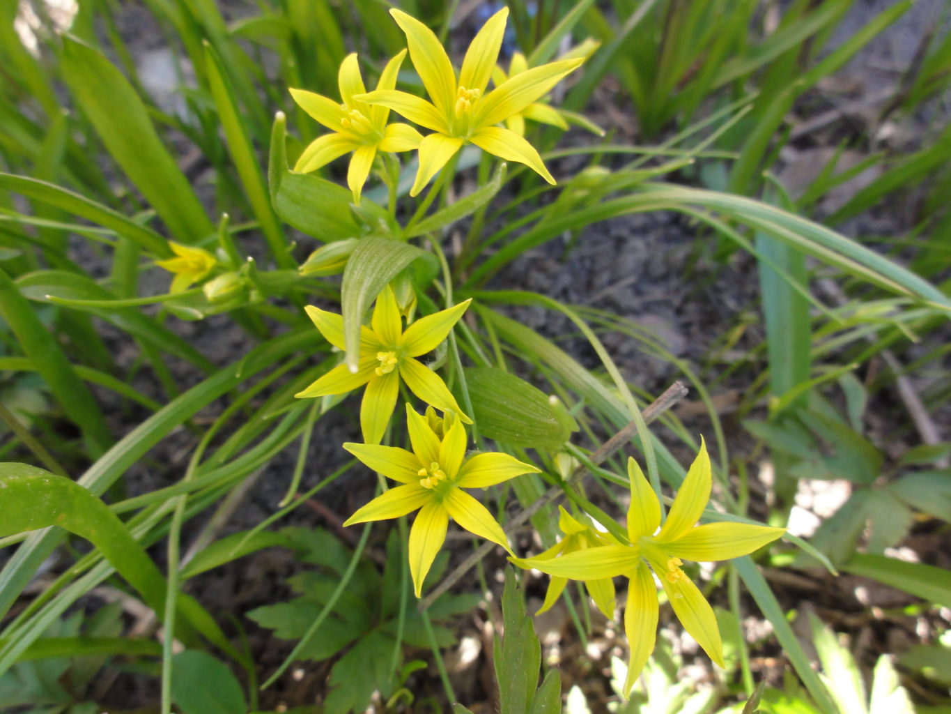 Valokuvaaja: Vuokko Virtanen Valokuvaaja: Vuokko Virtanen