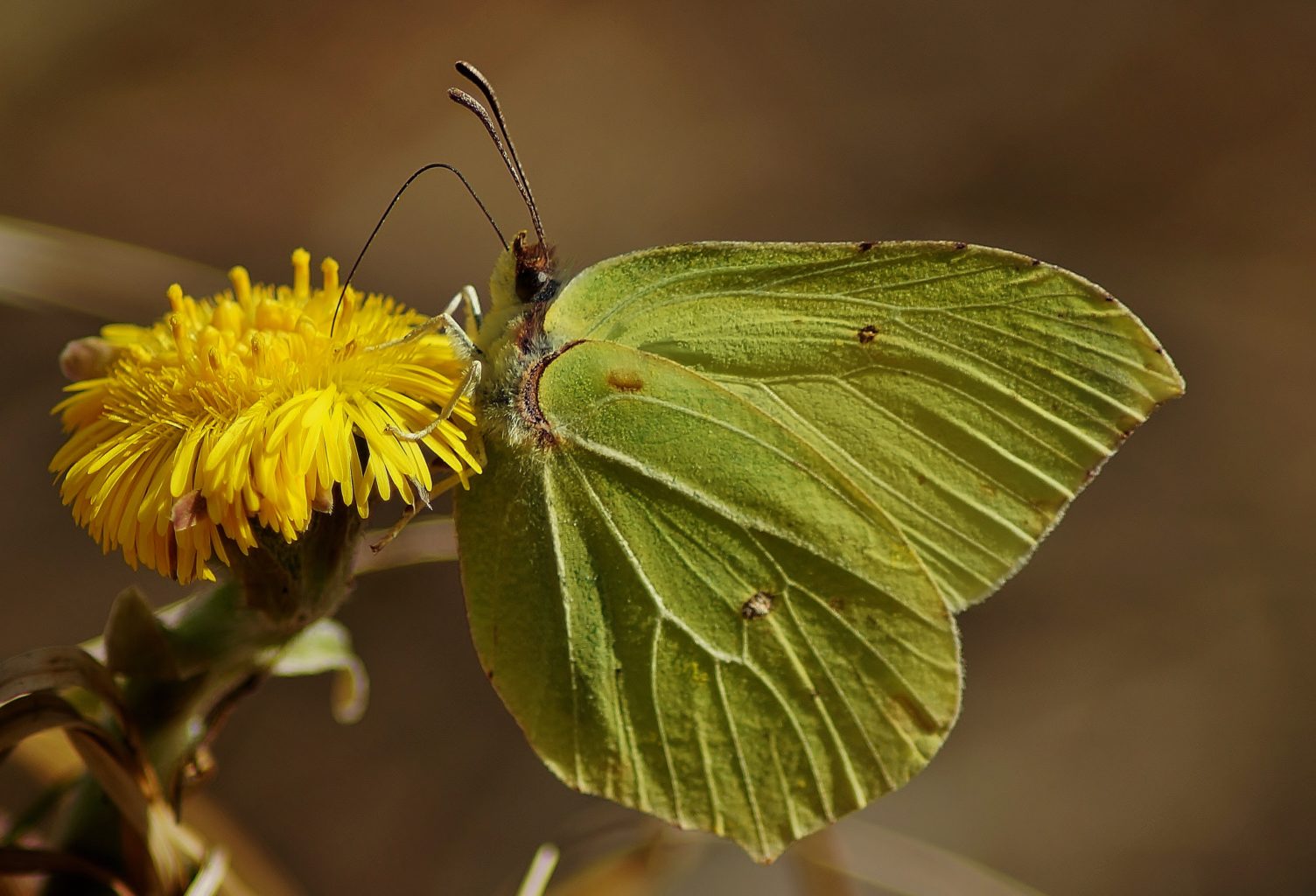 Valokuvaaja: Maarit Siitonen