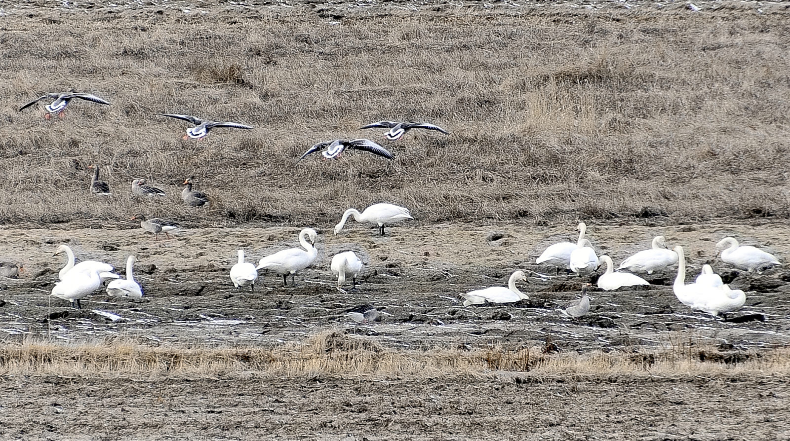 Valokuvaaja: Jouni Marttila