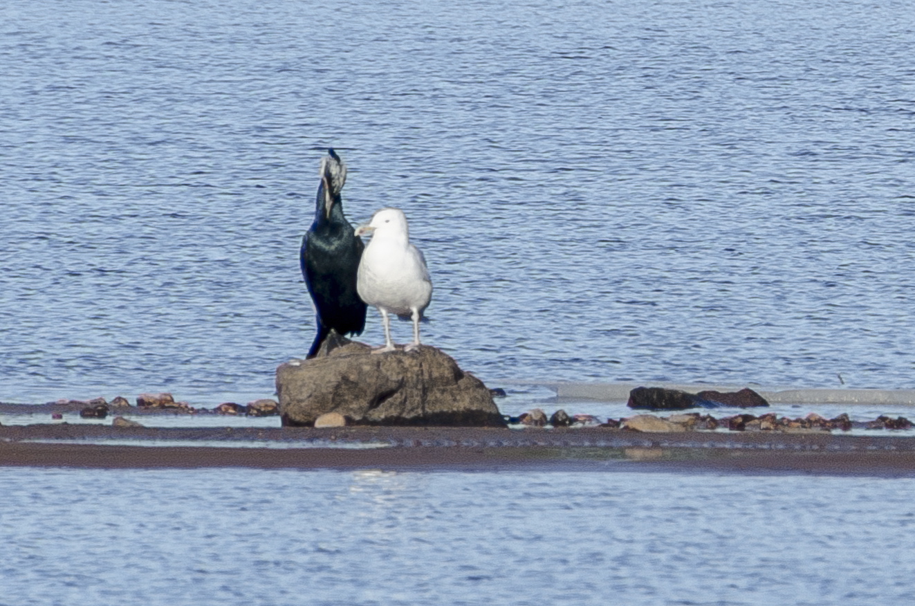 Valokuvaaja: Jouni Marttila