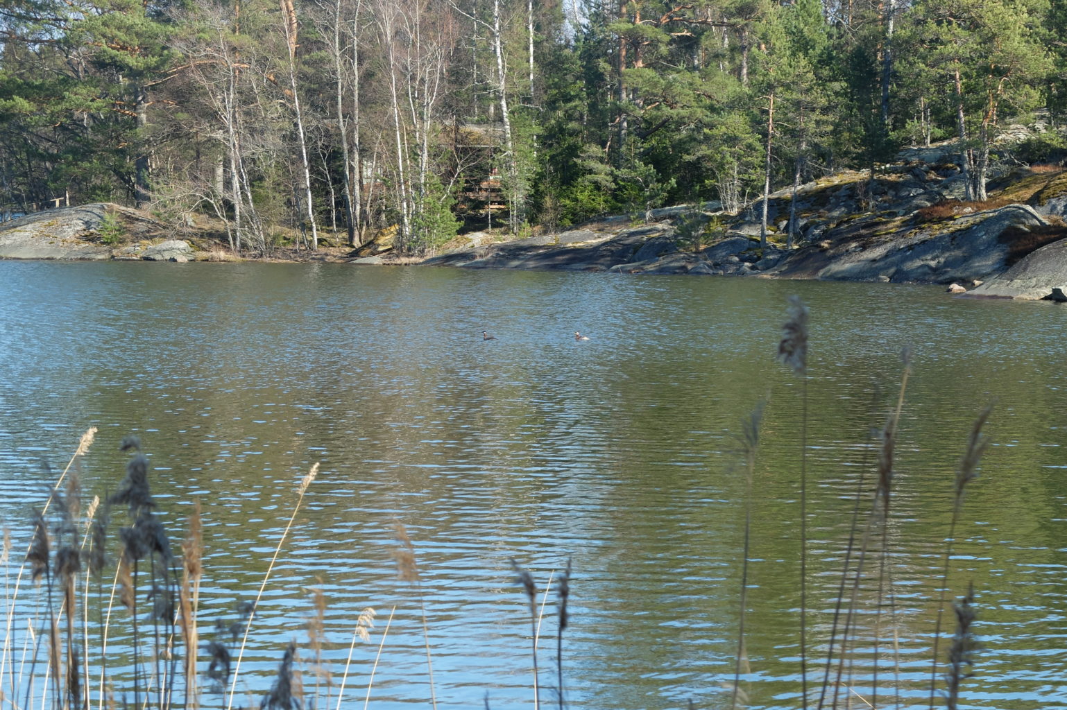 Valokuvaaja: Tuia-Leena Kylmänen Valokuvaaja: Tuia-Leena Kylmänen