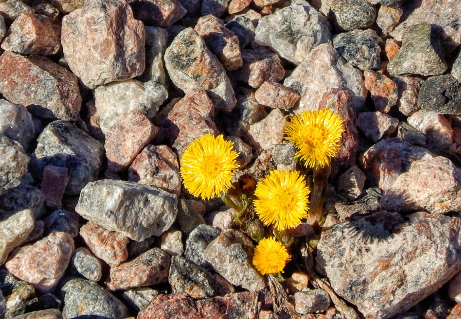 Valokuvaaja: Arja Tappola