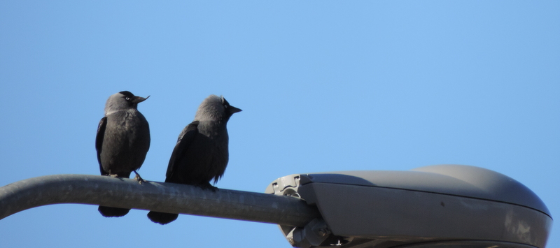 Valokuvaaja: Helena Sytelä