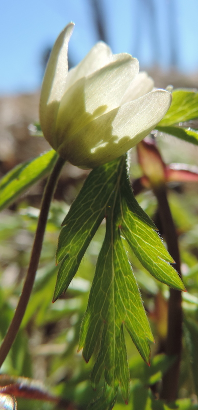 Valokuvaaja: Helena Sytelä