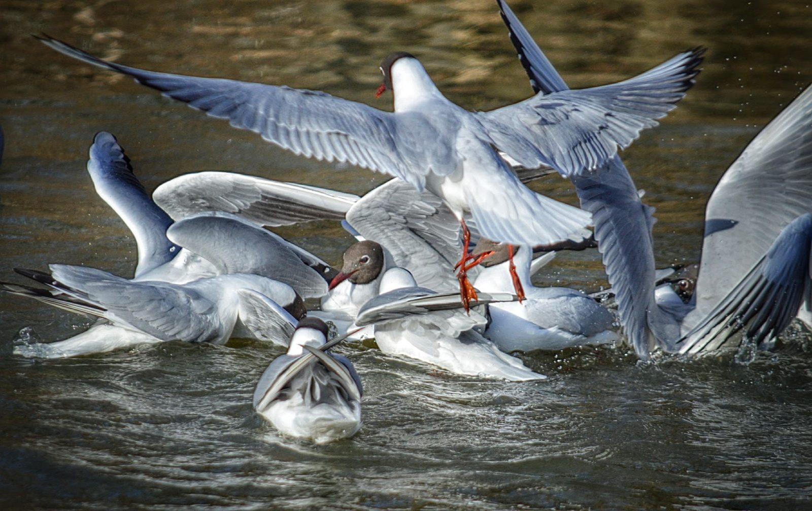 Valokuvaaja: Arja Tappola