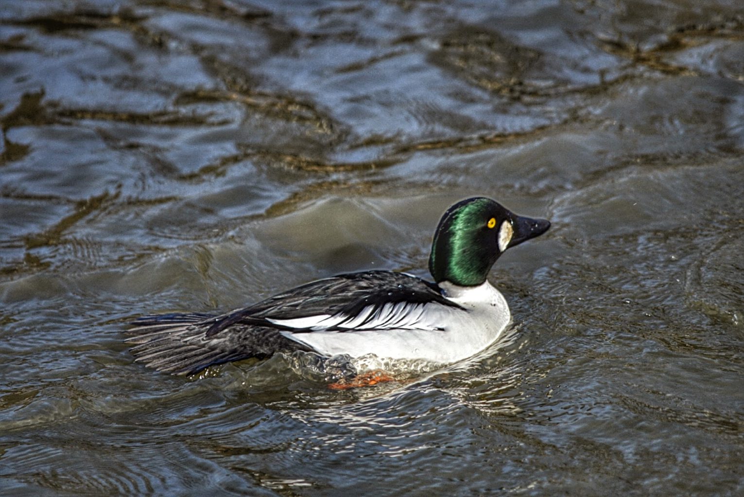 Valokuvaaja: Arja Tappola