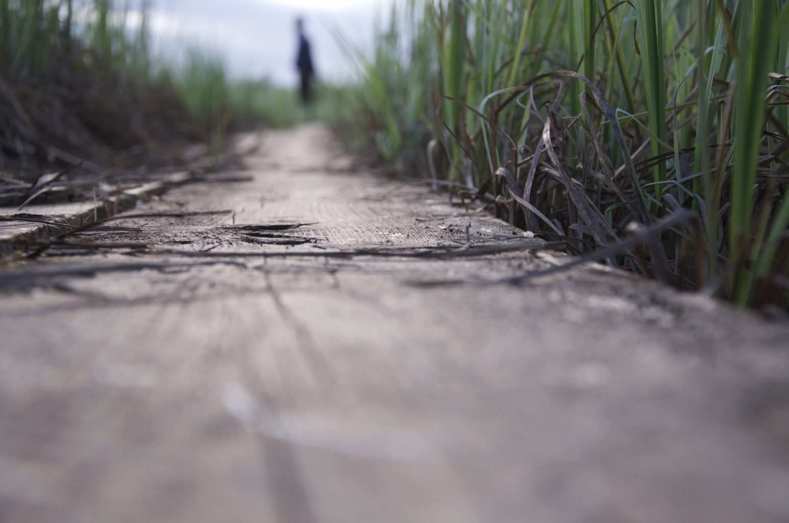 Valokuvaaja: Kristiina Kivilompolo