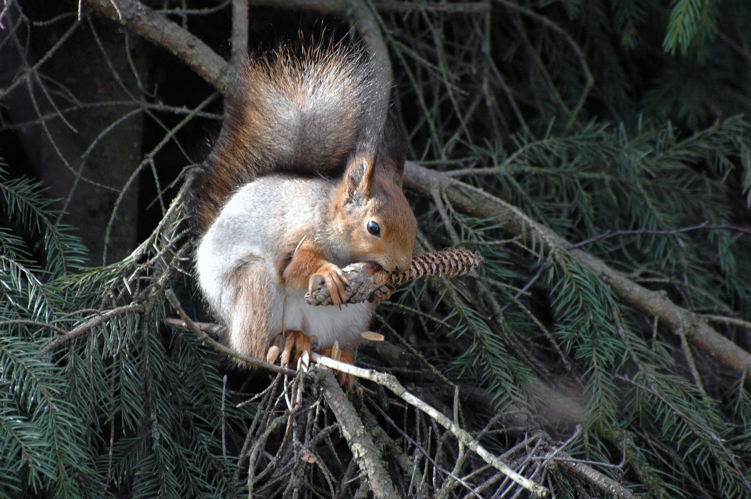 Valokuvaaja: Paavo Siukonen