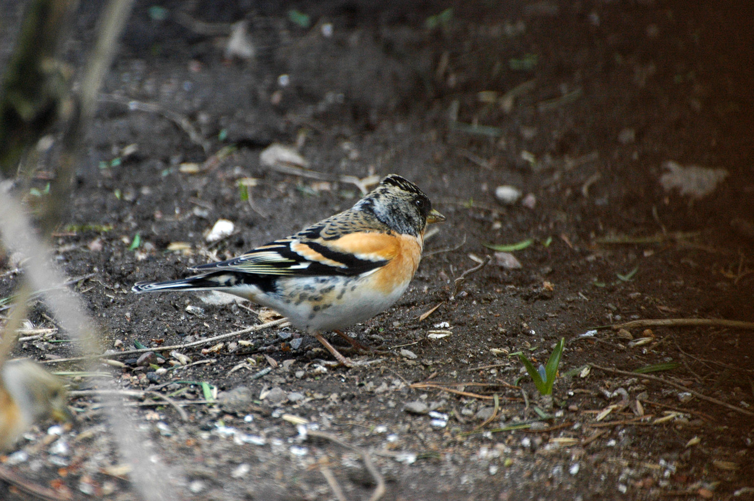Valokuvaaja: Paavo Siukonen