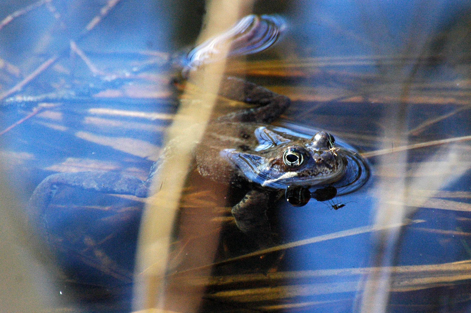 Valokuvaaja: Paavo Siukonen