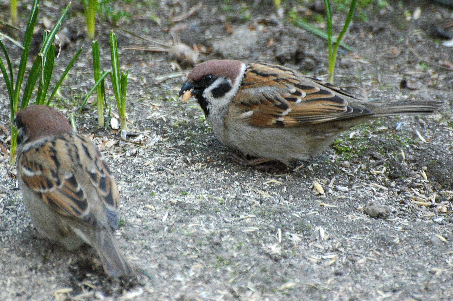 Valokuvaaja: Paavo Siukonen