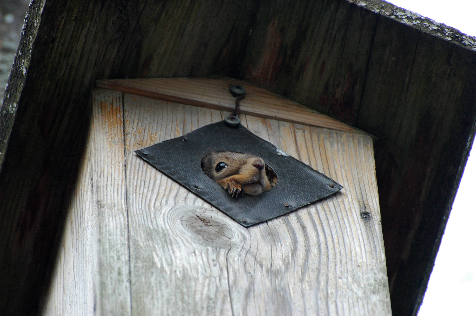 Valokuvaaja: Paavo Siukonen