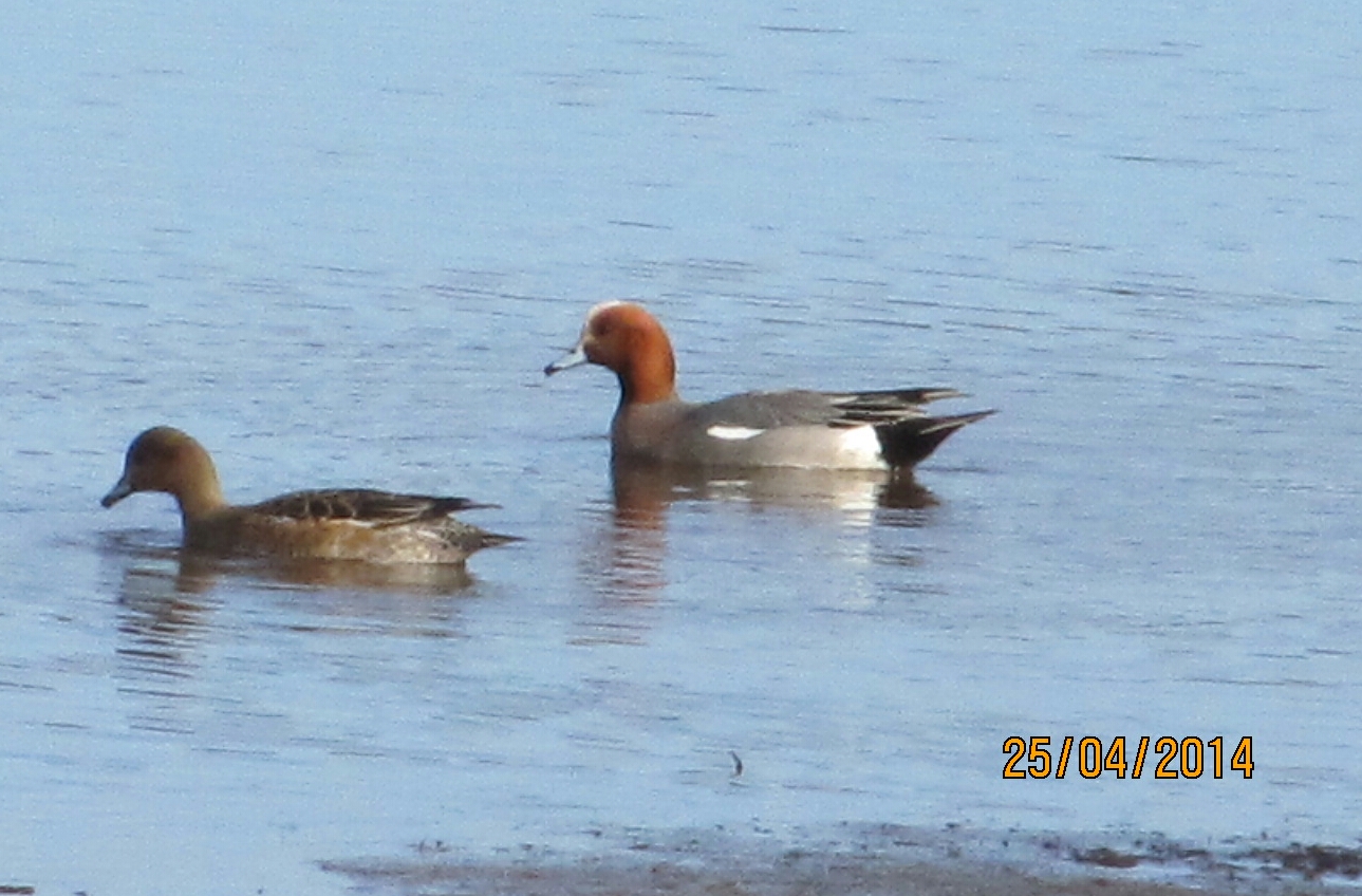 Valokuvaaja: Tuula Makkonen