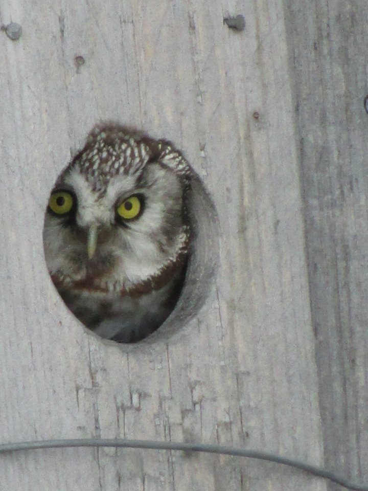 Valokuvaaja: Jonna Kelja