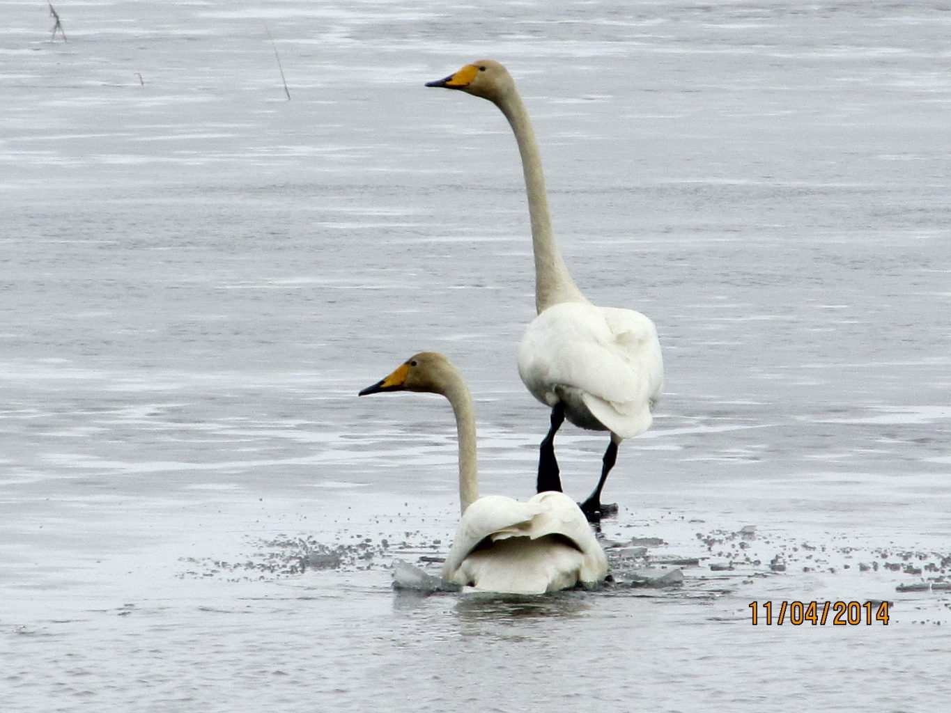 Valokuvaaja: Tuula Makkonen