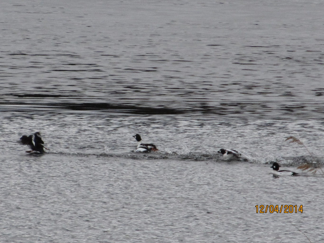 Valokuvaaja: Tuula Makkonen Valokuvaaja: Tuula Makkonen