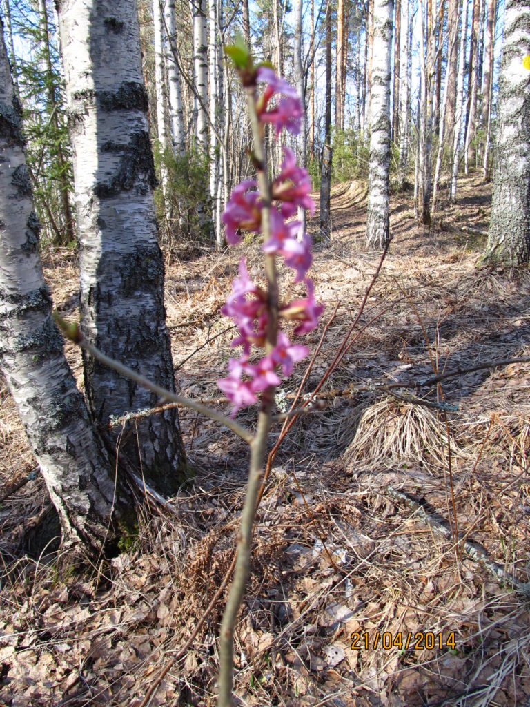 Valokuvaaja: Tuula Makkonen