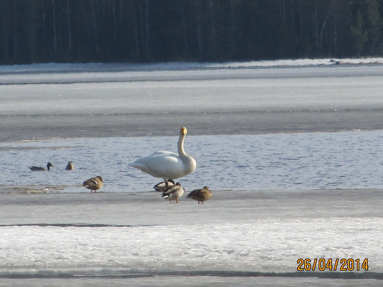 Valokuvaaja: Tuula Makkonen Valokuvaaja: Tuula Makkonen