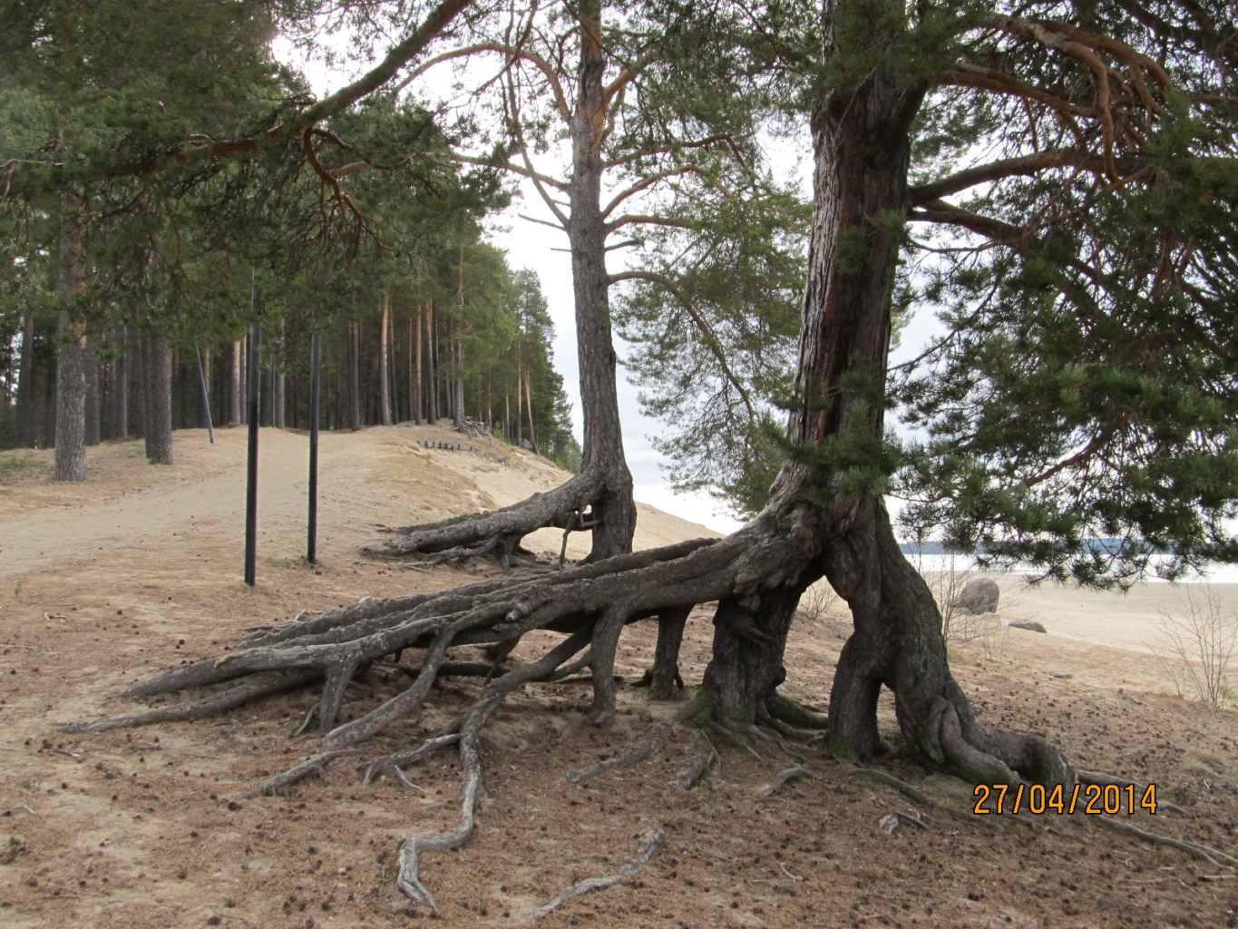 Valokuvaaja: Tuula Makkonen