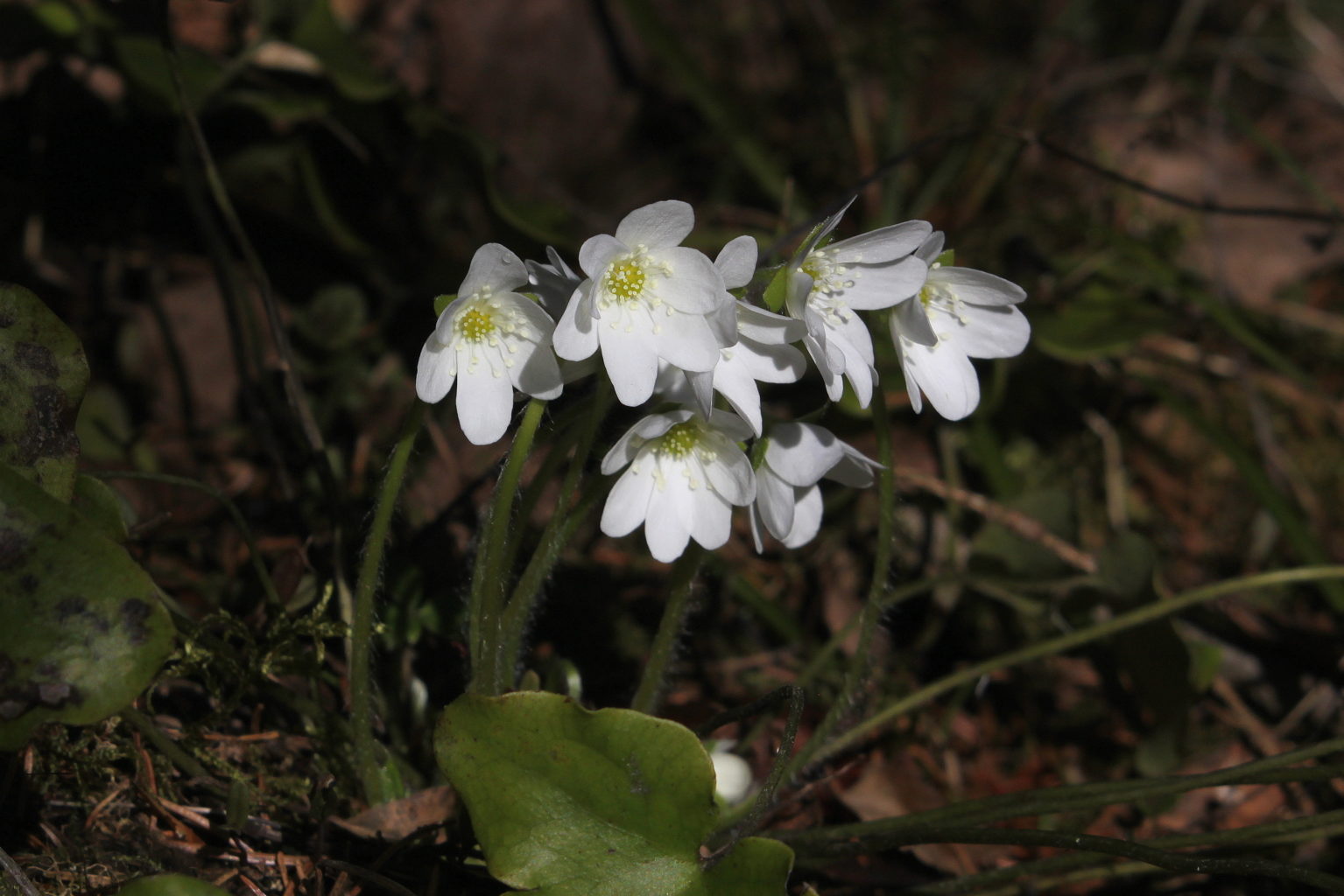 Valokuvaaja: jarkko nenonen