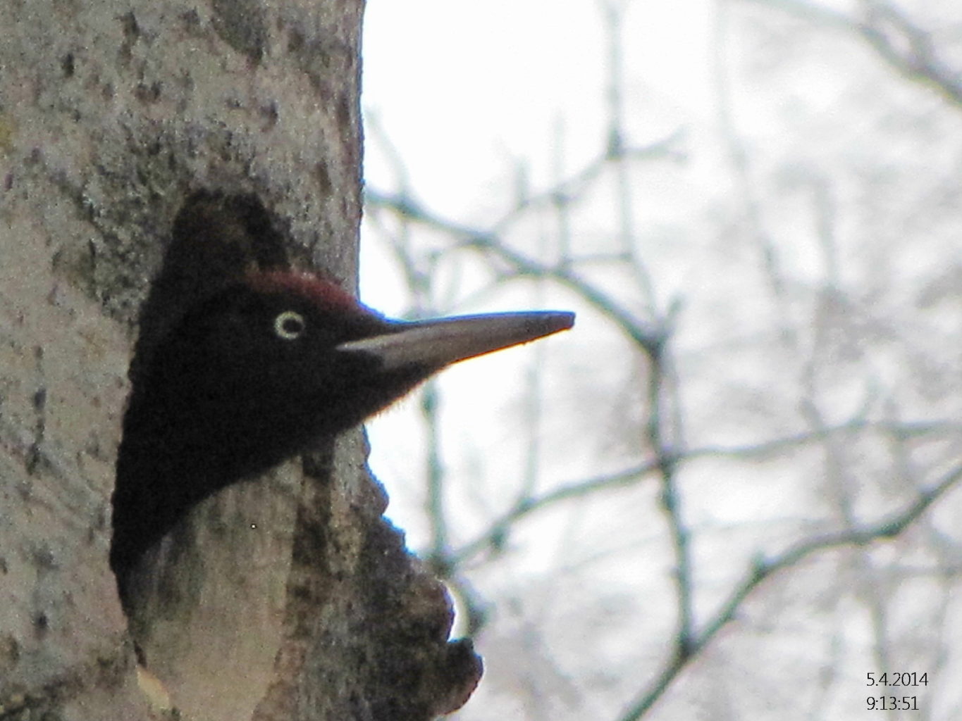 Valokuvaaja: Tuula Makkonen