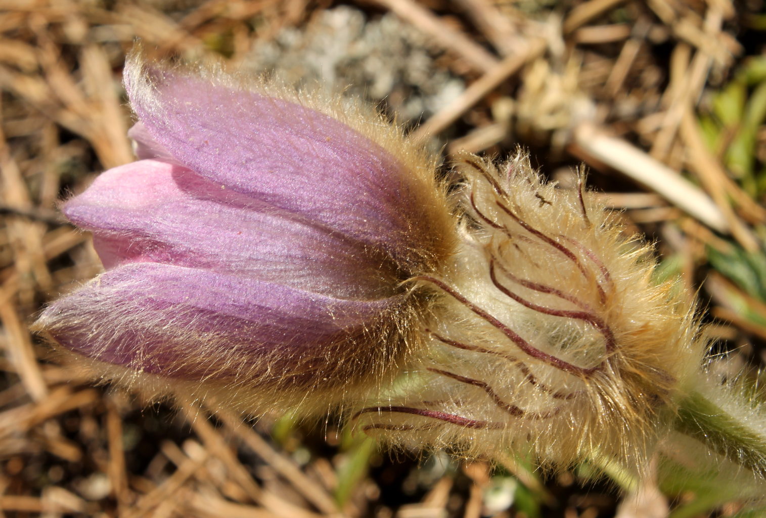 Valokuvaaja: Satu Kuntola