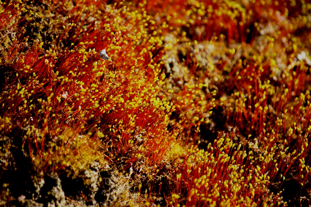 Valokuvaaja: Kaarina Heiskanen