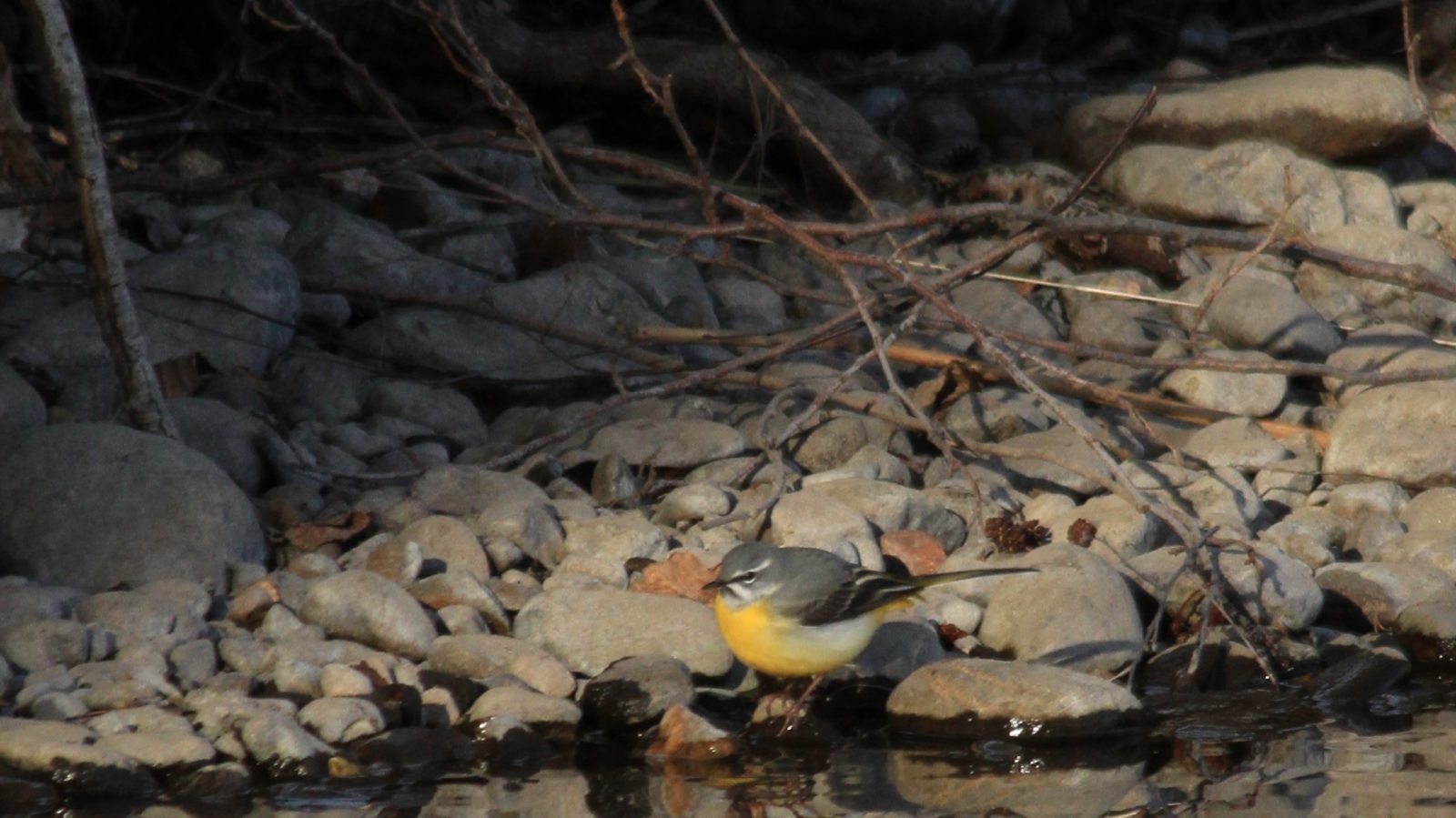 Valokuvaaja: sisko kuosmanen