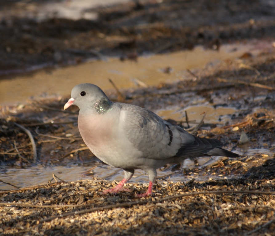 Valokuvaaja: Kaarina Heiskanen