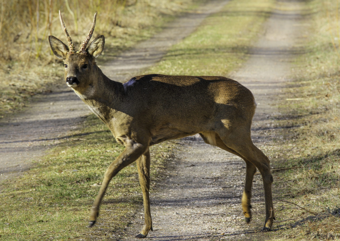 Valokuvaaja: Satu Mali