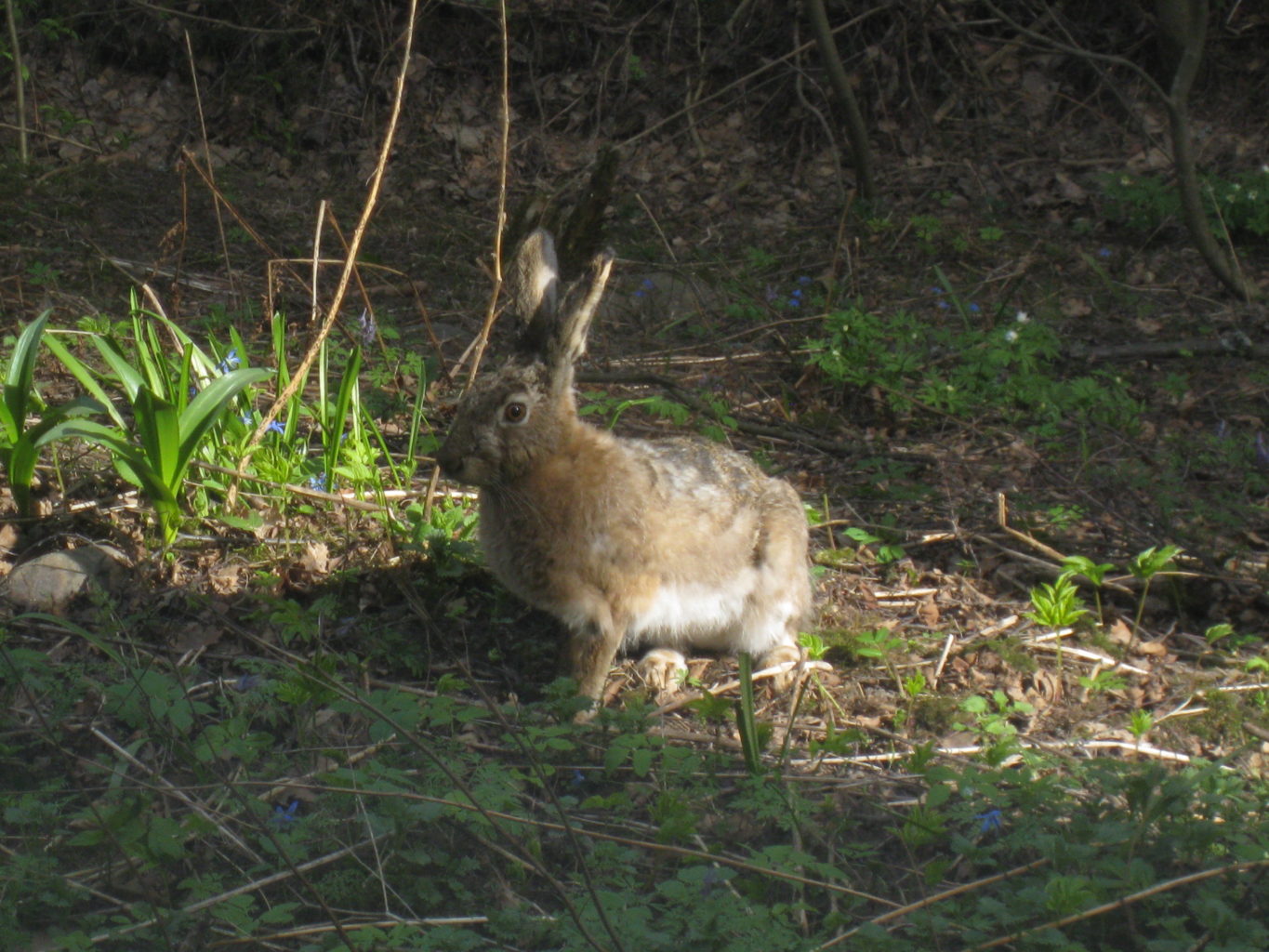 Valokuvaaja: Paavo Penttilä