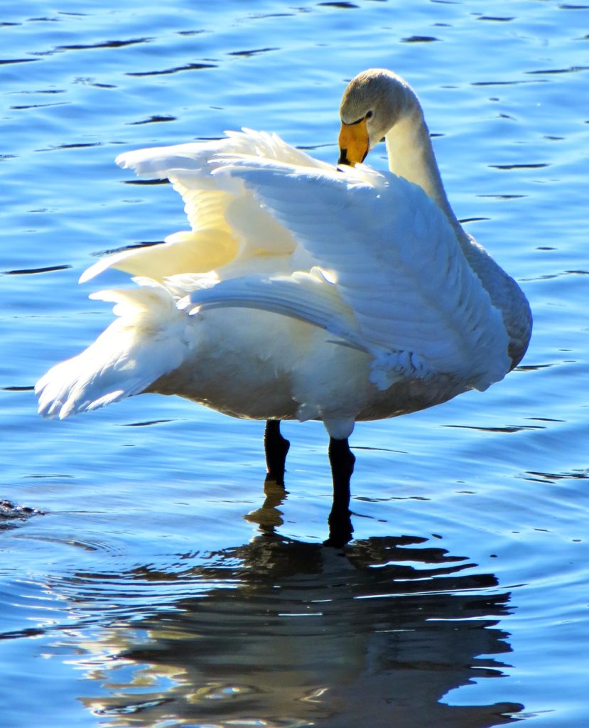 Valokuvaaja: Sirkka Ruotoistenmäki