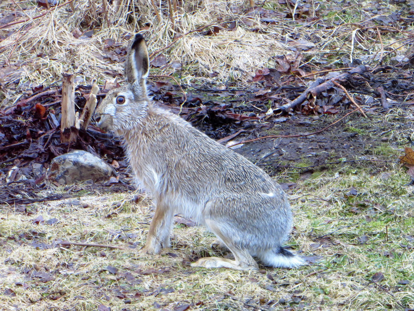 Valokuvaaja: Sirkka Ruotoistenmäki